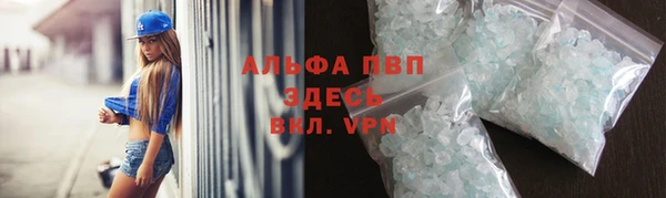 дмт Алзамай