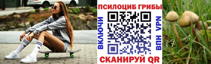 Псилоцибиновые грибы Cubensis  купить  цена  Феодосия 